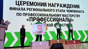 Итоги | Профессионалы | Регион 1