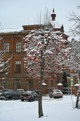 ФОТОКРУЖОК | МИР ЧЕРЕЗ ОБЪЕКТИВ 8
