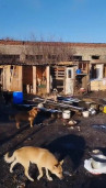 ВОЛОНТЕРСКИЕ БУДНИ 4