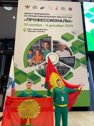 ПРОФЕССИОНАЛЫ 2025 | ФИНАЛ 7