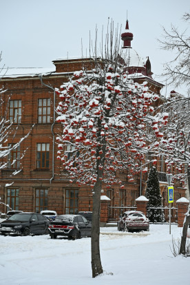 ФОТОКРУЖОК | МИР ЧЕРЕЗ ОБЪЕКТИВ 8
