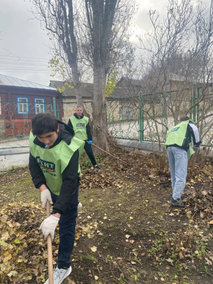 ВОЛОНТЕРСКИЕ БУДНИ 8
